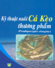 Ebook Kỹ thuật nuôi cá kèo thương phẩm Pseudapocryptes Elongatus (Cuvier, 1816): Phần 1 - Nguyễn Chung