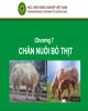 Bài giảng Chăn nuôi trâu bò - Chương 7: Chăn nuôi bò thịt