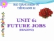 Bài giảng Tiếng Anh 12 unit 6: Future jobs - Reading
