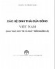 Ebook Các hệ sinh thái cửa sông Việt Nam (Khai thác, duy trì và phát triển nguồn lợi): Phần 2