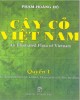 Ebook Cây cỏ Việt Nam (Quyển I): Phần 2 - Phạm Hoàng Hộ