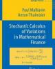 Ebook Stochastic calculus of variations in mathematical finance
