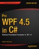 Ebook Pro WPF 4.5 in C#: Windows presentation foundation in .NET 4.5 - Part 2 (Fourth edition)