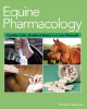 Ebook Equine pharmacology: Part 2