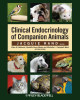 Ebook Clinical endocrinology of companion animals: Part 2
