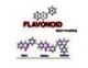 Bài giảng Kỹ thuật thu nhận hợp chất có hoạt tính sinh học từ thực vật: Chương 3 - Flavonoid