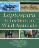 Ebook Leptospira infection in wild animals: Part 1
