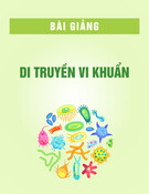Bài giảng Di truyền vi khuẩn