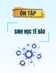 Tài liệu ôn tập Sinh học tế bào